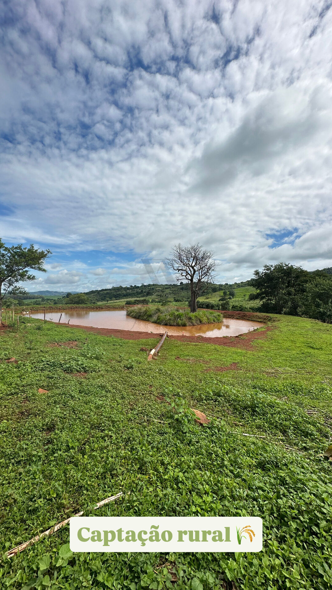 Chácara, 4 quartos, 10 hectares - Foto 6