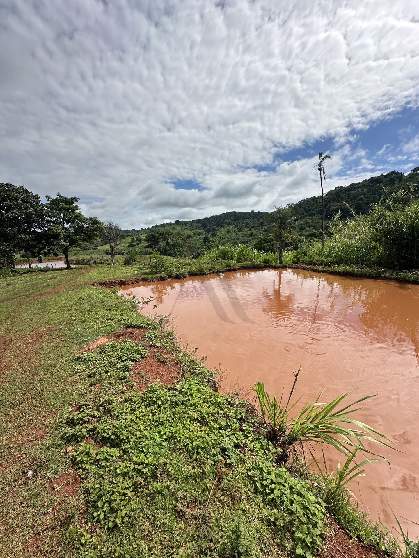 Chácara, 4 quartos, 10 hectares - Foto 4