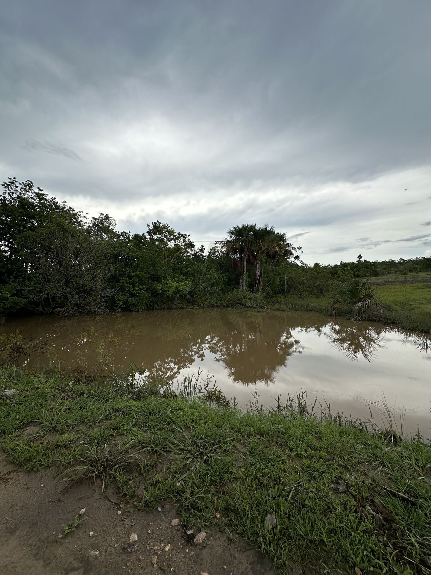 Chácara, 3 quartos, 100 hectares - Foto 6