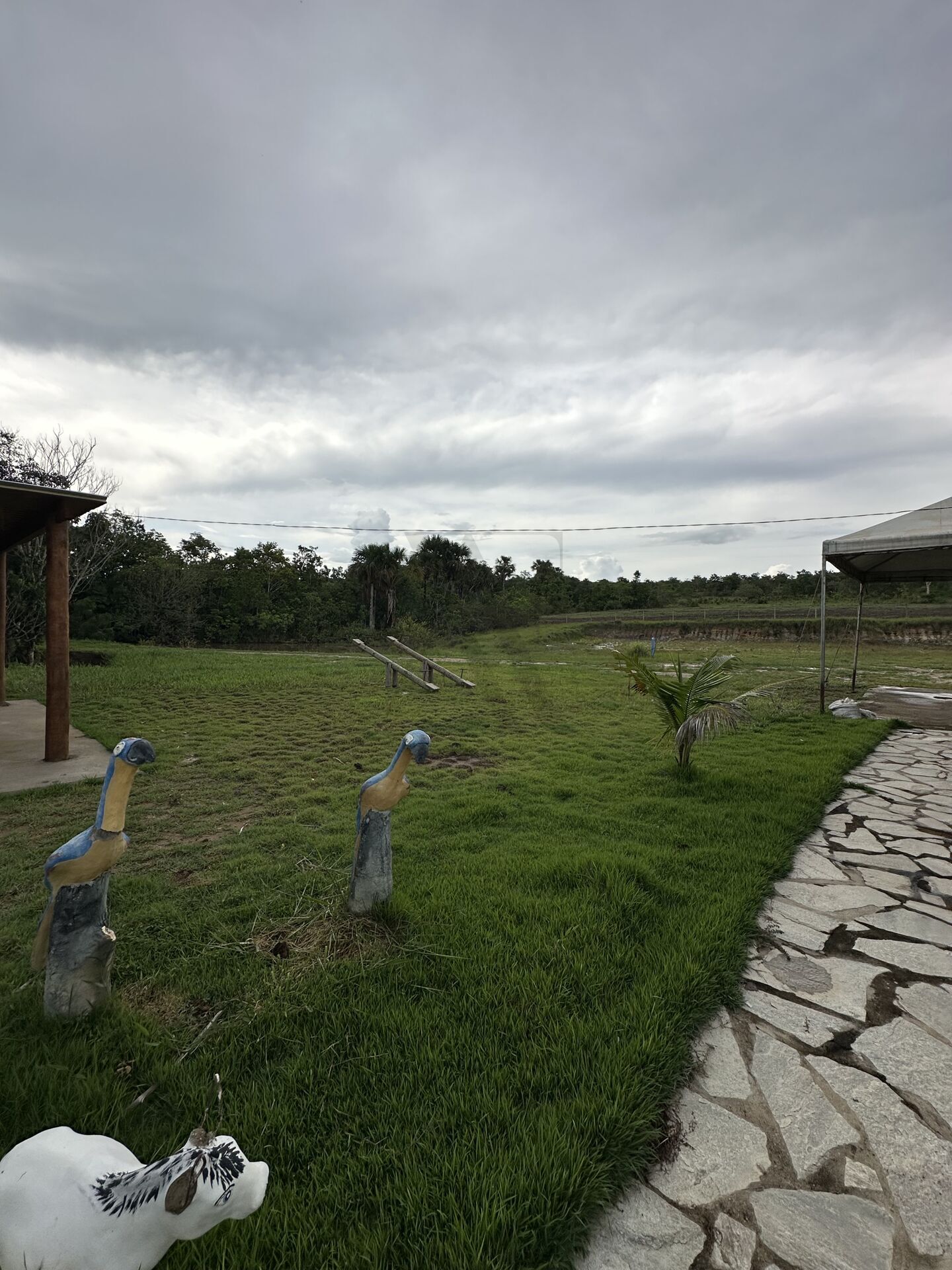 Chácara, 3 quartos, 100 hectares - Foto 24