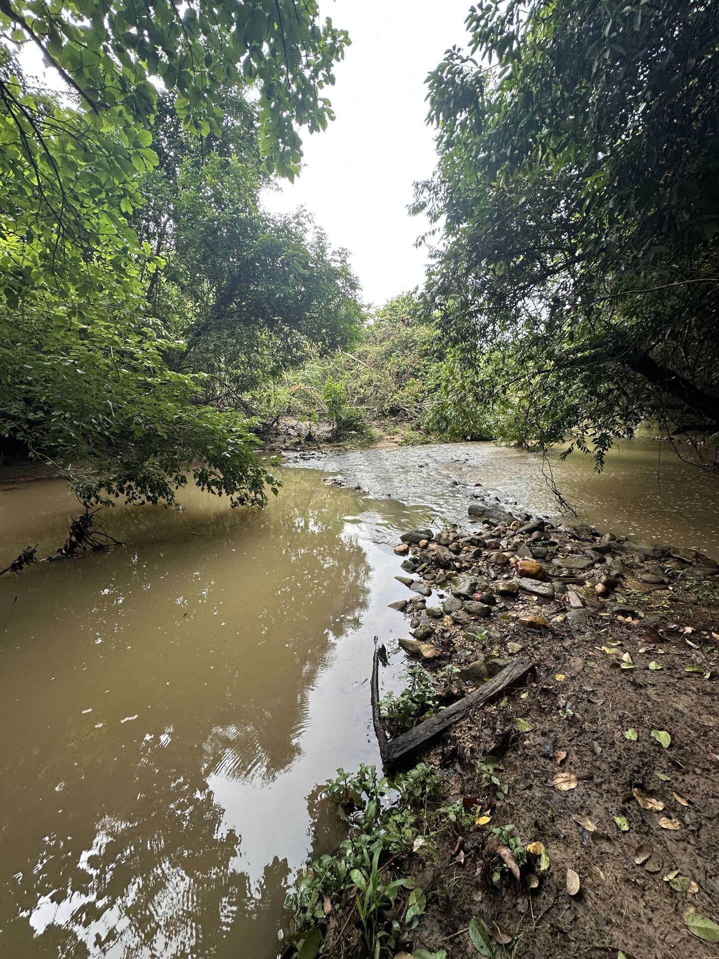 Chácara, 3 quartos, 100 hectares - Foto 8