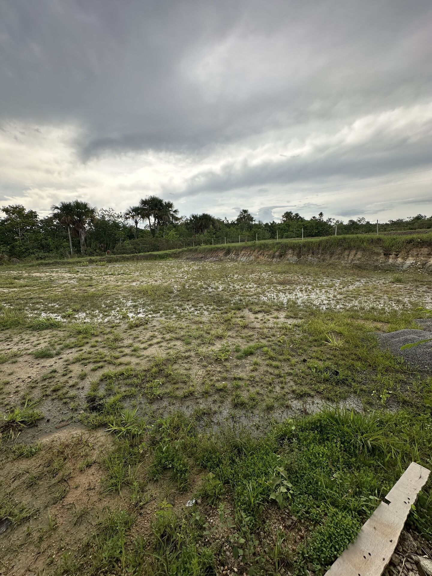 Chácara, 3 quartos, 100 hectares - Foto 15