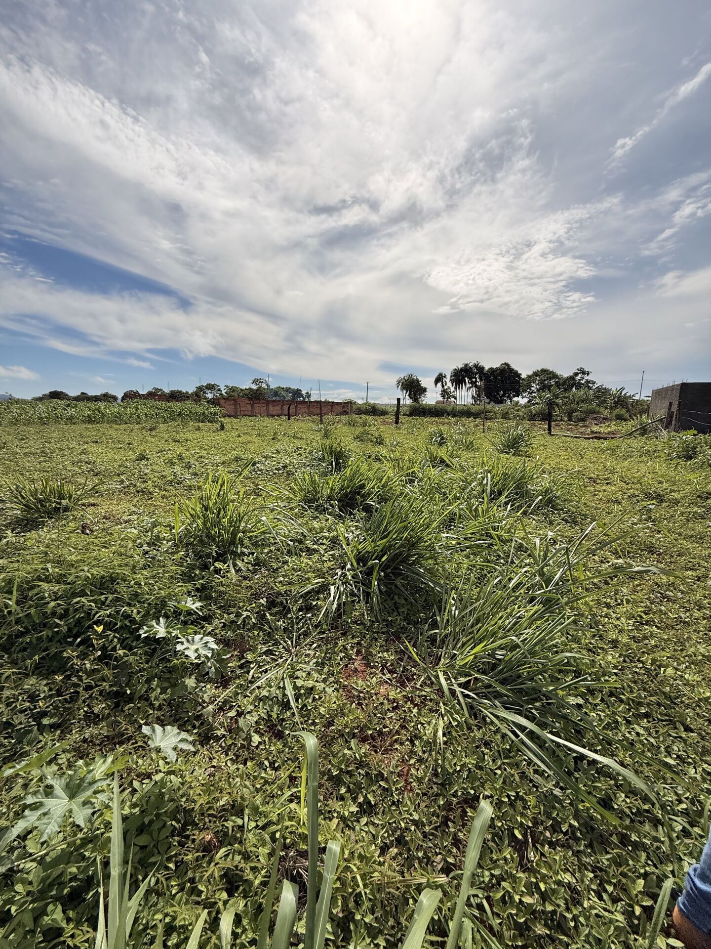 Terreno, 216 m² - Foto 1