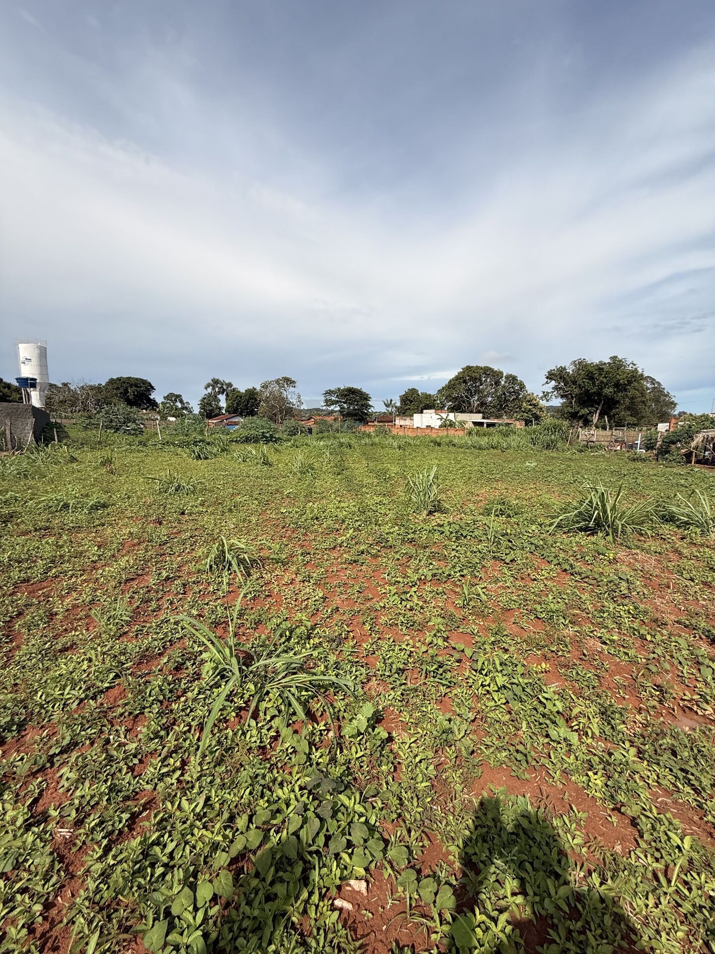 Terreno, 246 m² - Foto 1