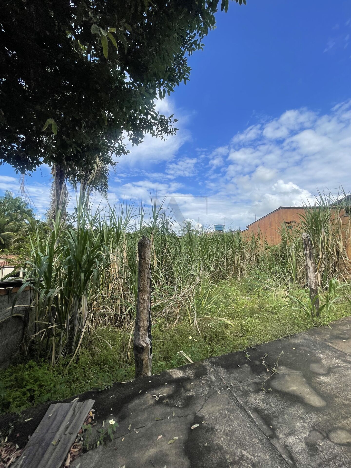 Terreno, 509 m² - Foto 2