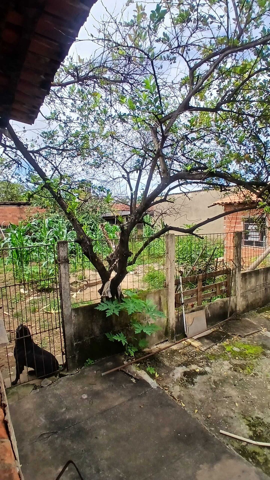 Casa, 988 m² - Foto 20