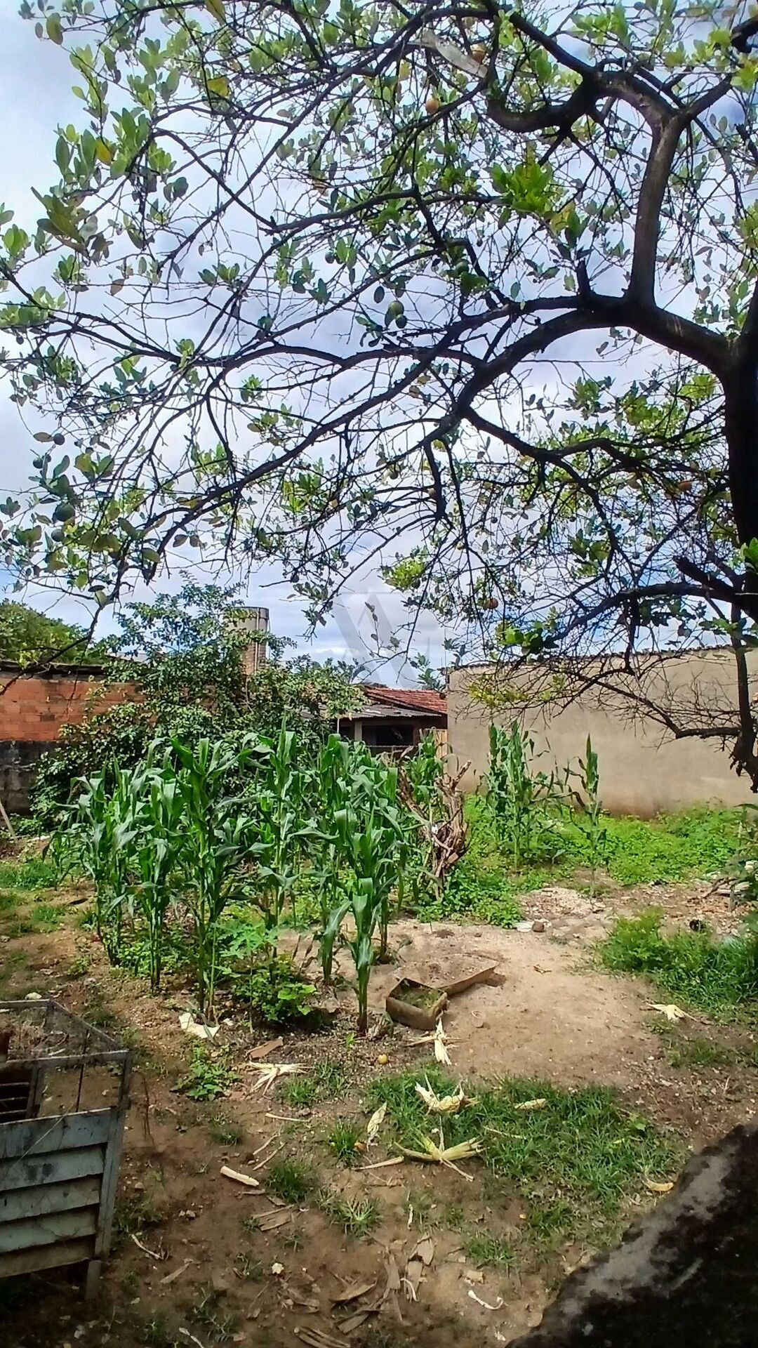 Casa, 988 m² - Foto 18