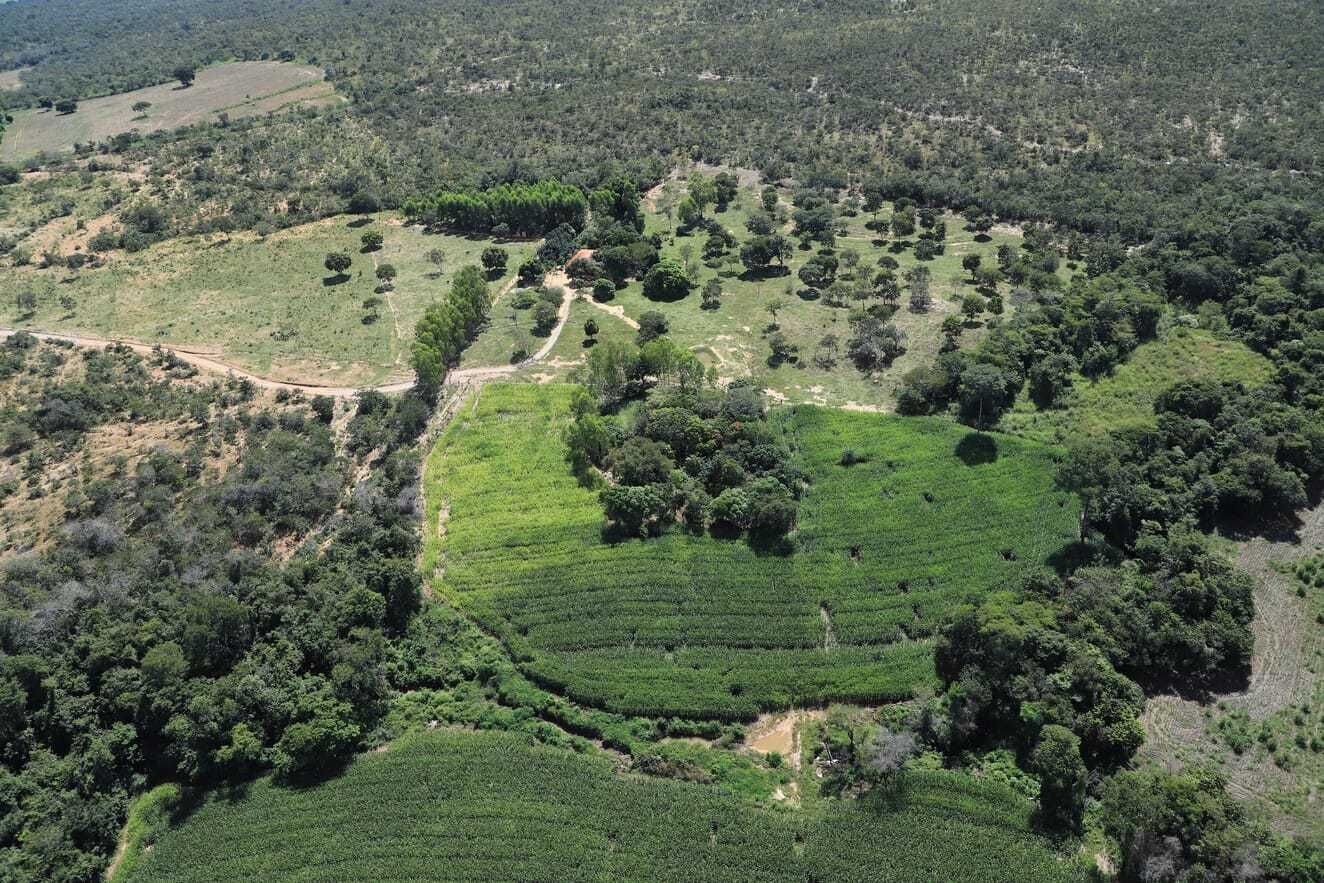 Chácara, 4 quartos - Foto 5