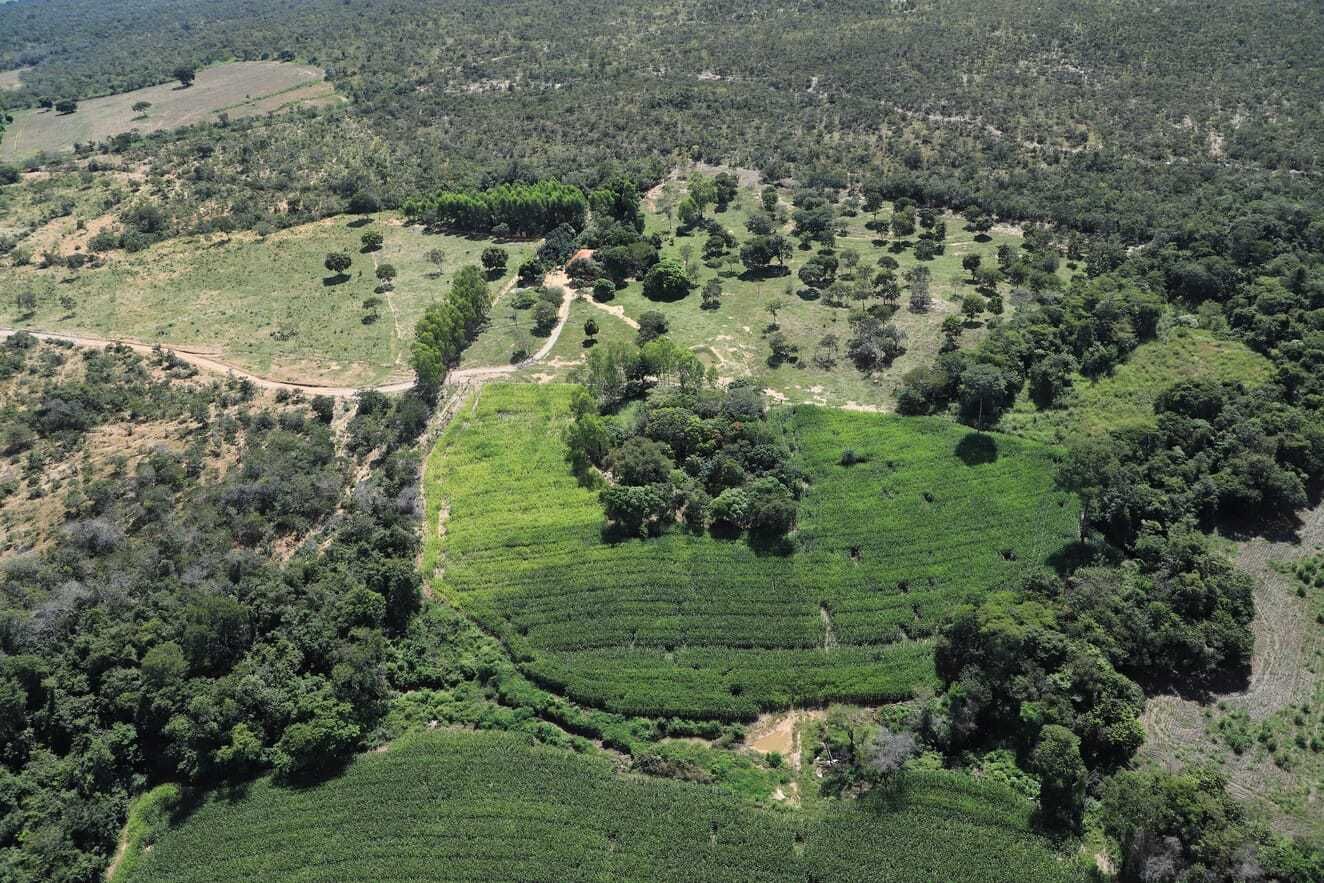 Chácara, 4 quartos - Foto 4