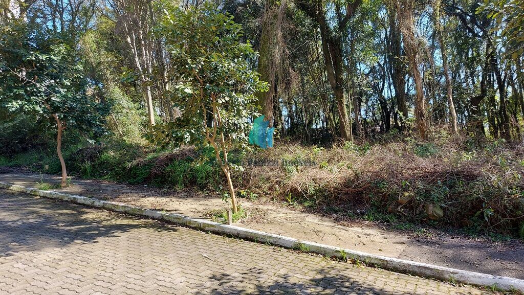 Terreno, 392 m² - Foto 3