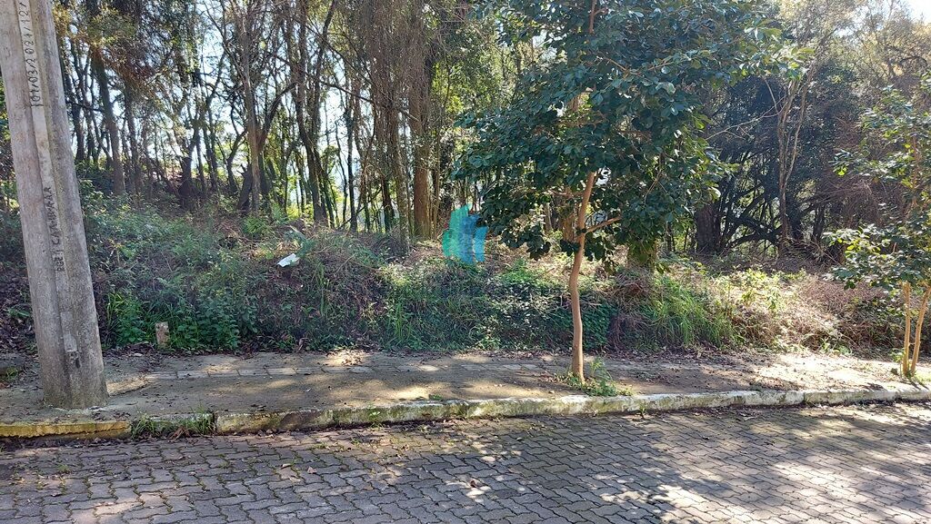 Terreno, 392 m² - Foto 2