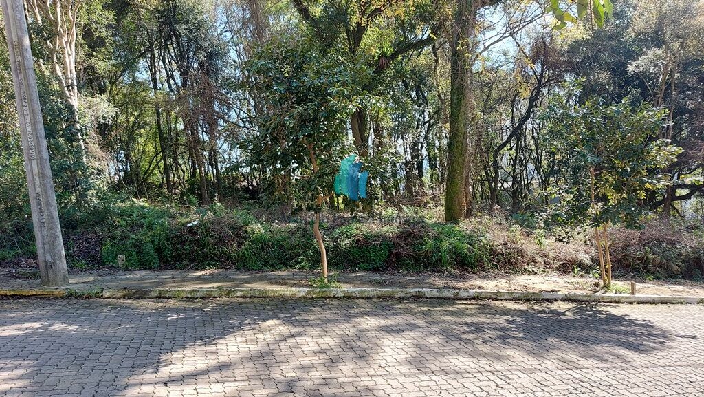 Terreno, 392 m² - Foto 1