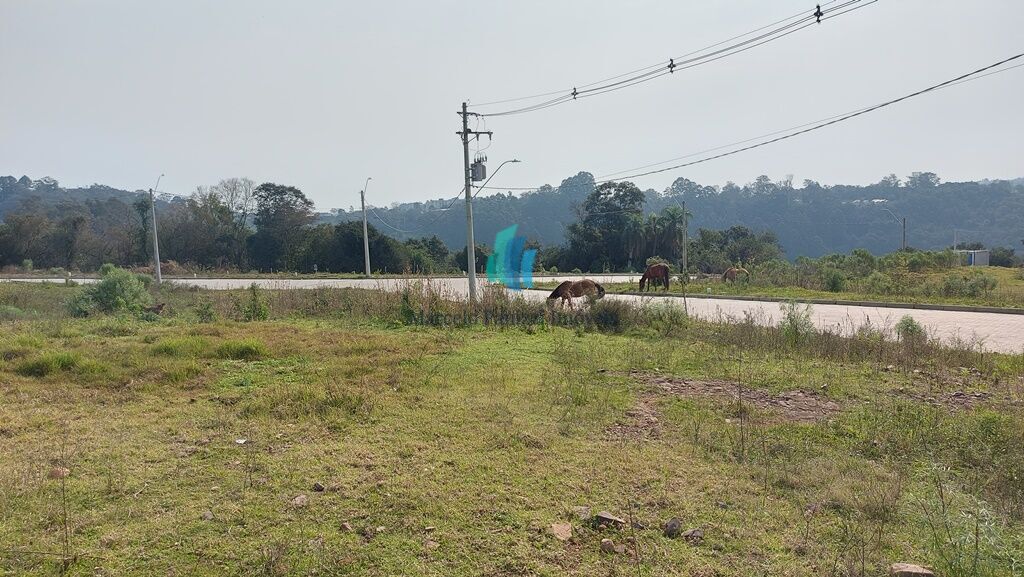 Terreno à venda, 240m² - Foto 3