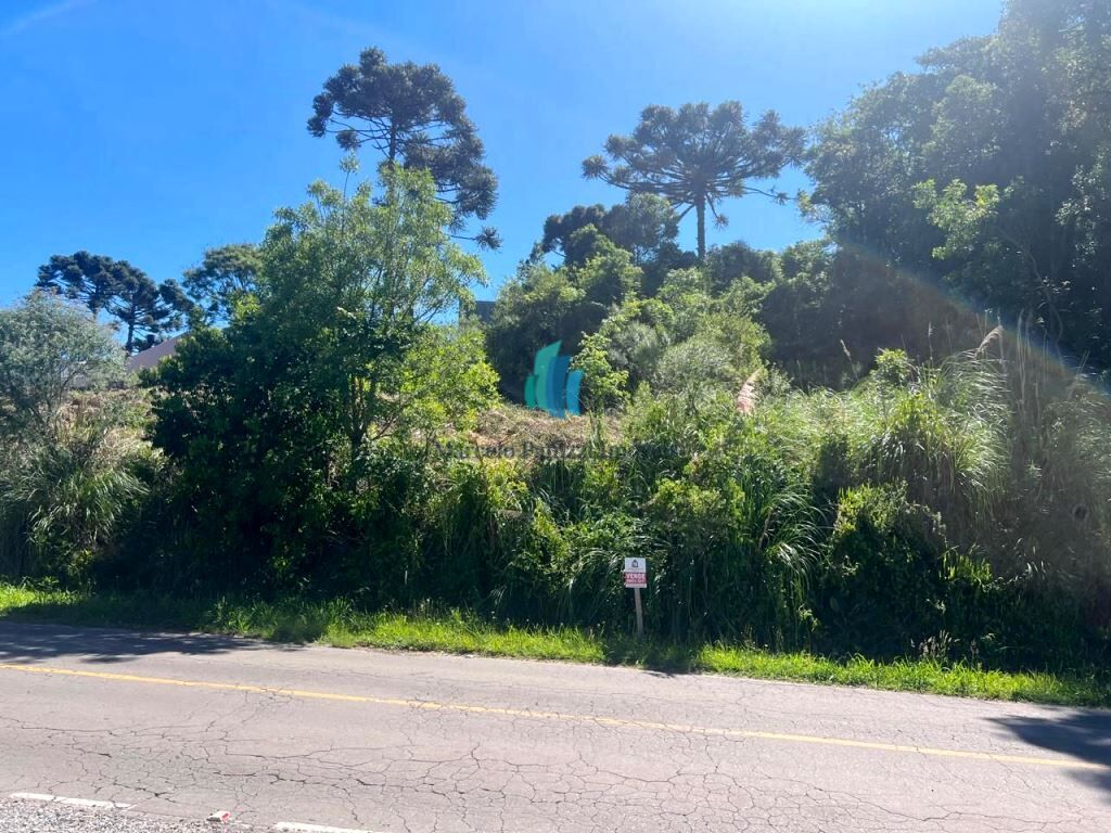 Terreno, 615 m² - Foto 2