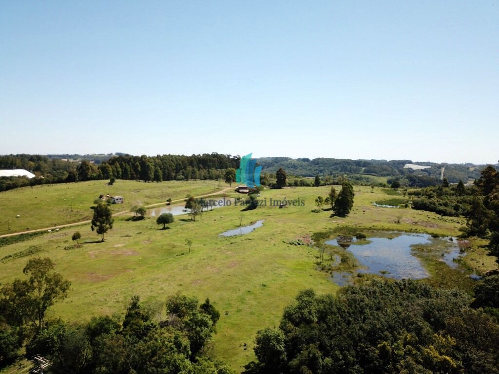 Chácara, 2 hectares - Foto 4