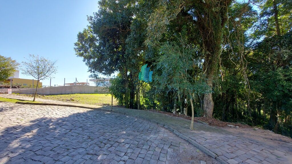 Terreno, 4043 m² - Foto 4