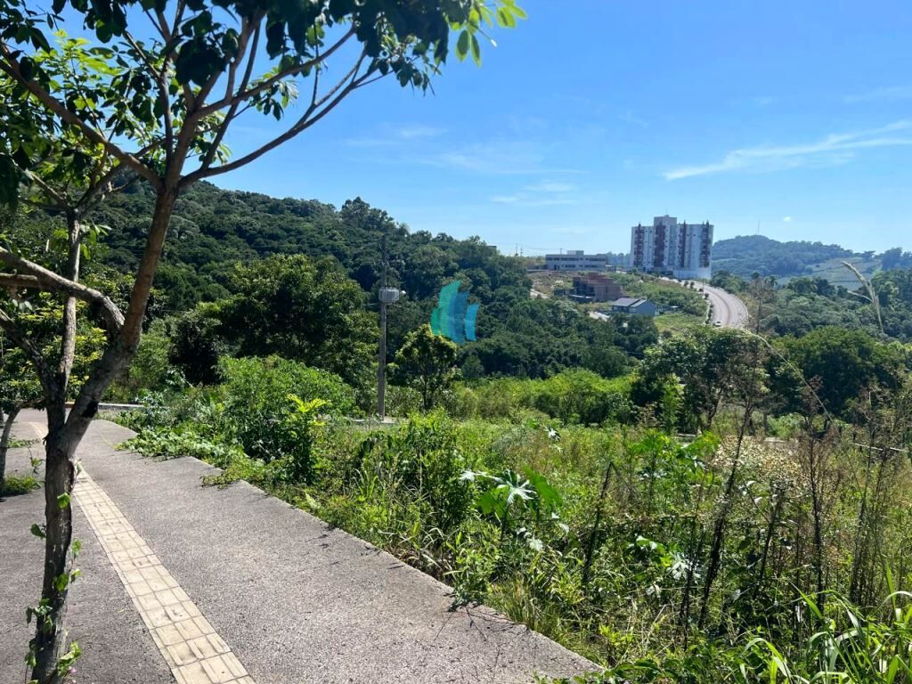 Terreno à venda, 1235m² - Foto 6