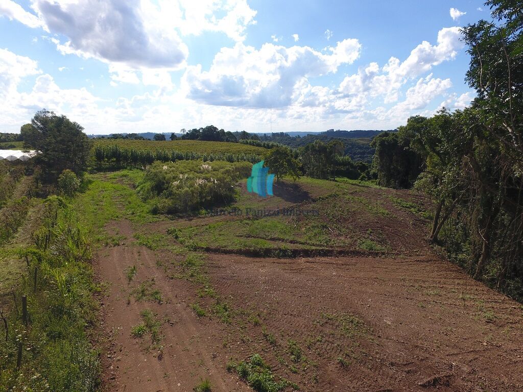 Terreno à venda, 20000m² - Foto 7