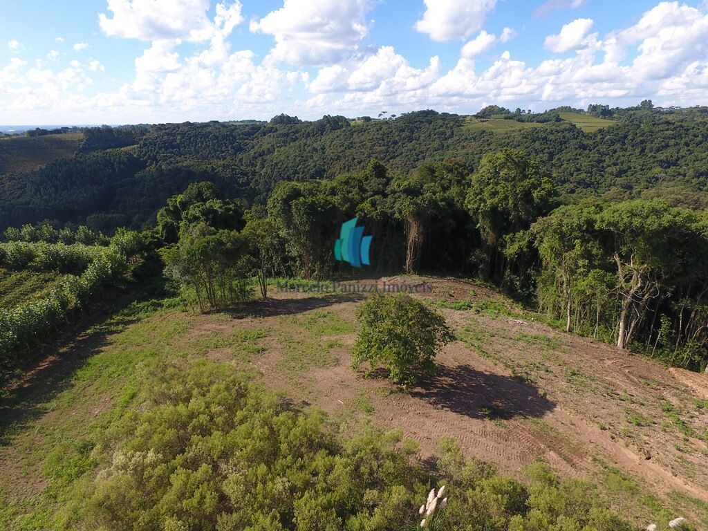 Terreno à venda, 20000m² - Foto 6