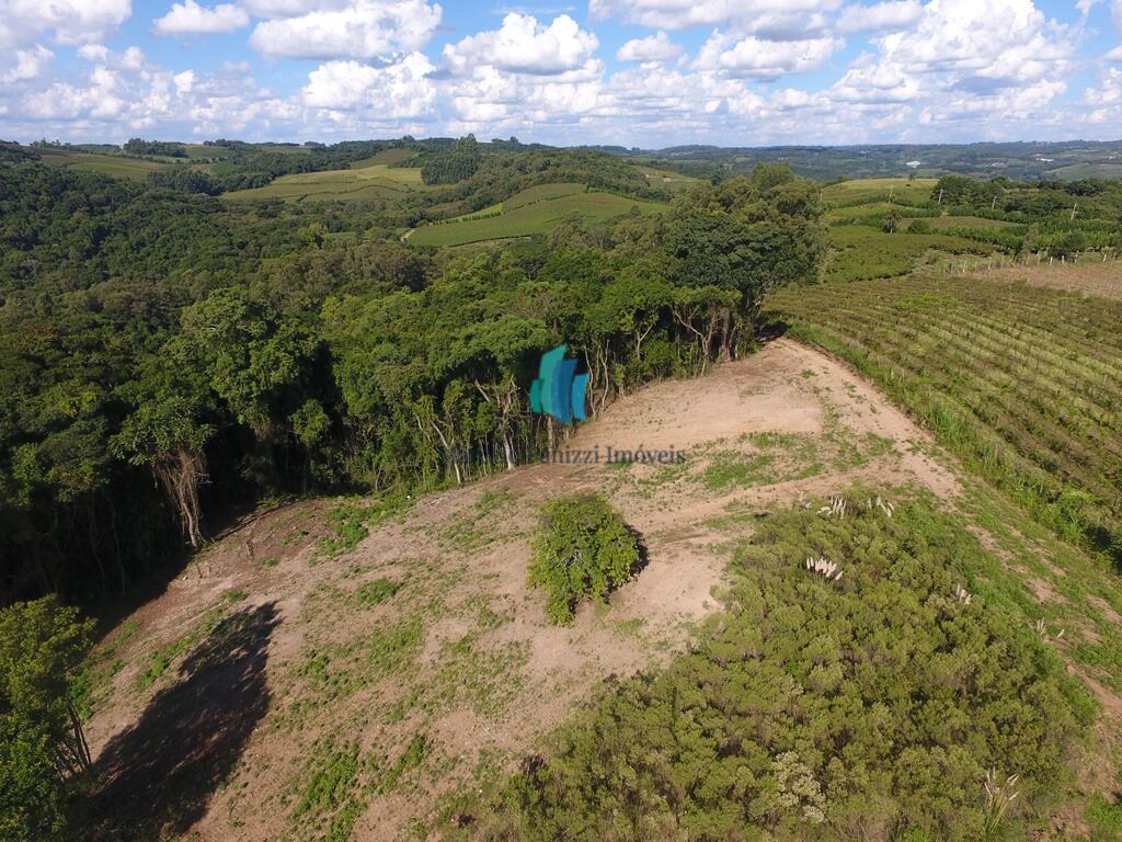 Terreno à venda, 20000m² - Foto 5