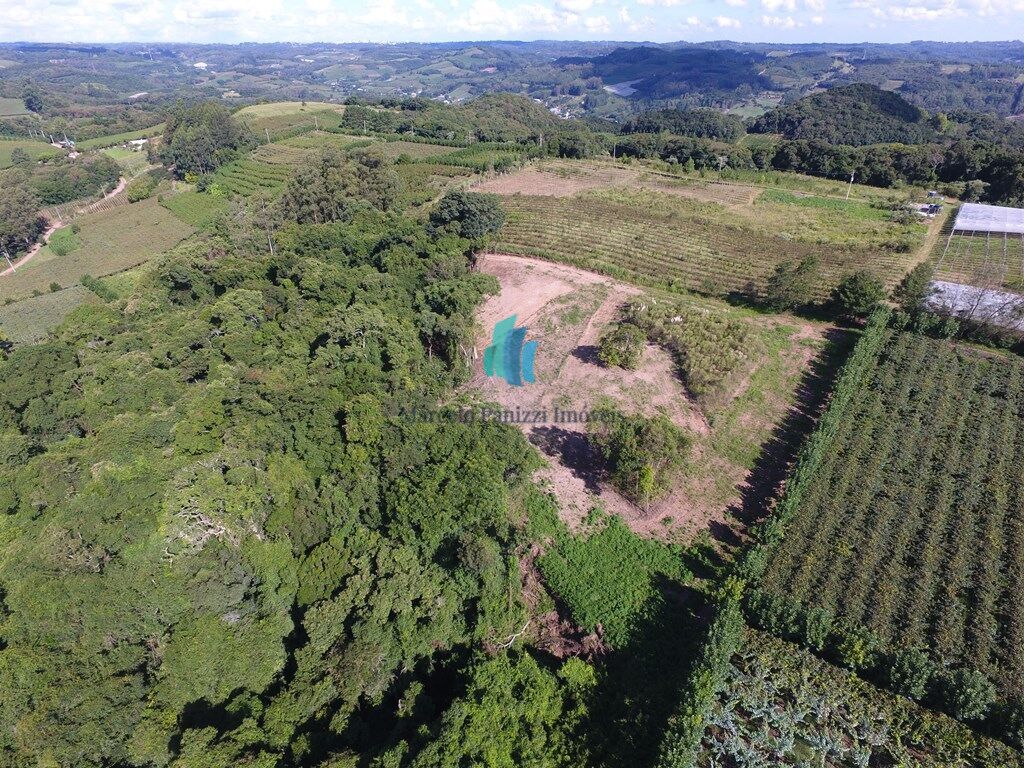 Terreno à venda, 20000m² - Foto 3