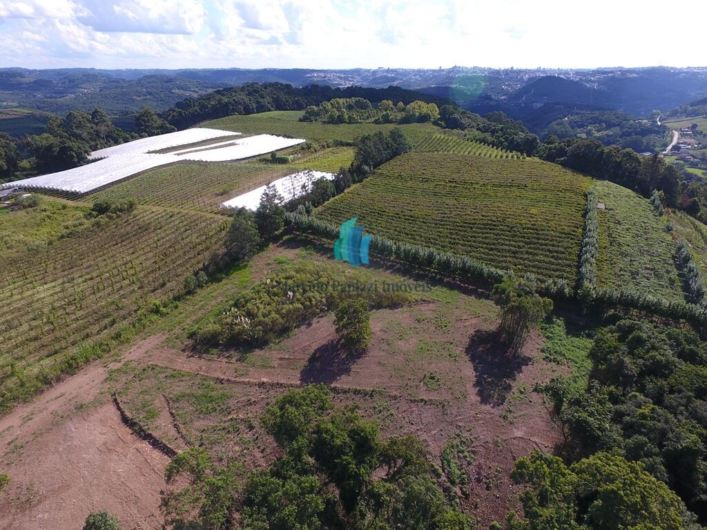 Terreno à venda, 20000m² - Foto 4