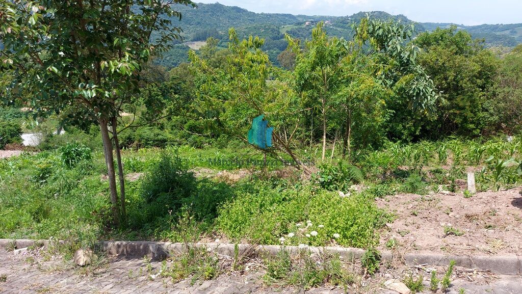 Terreno, 185 m² - Foto 2