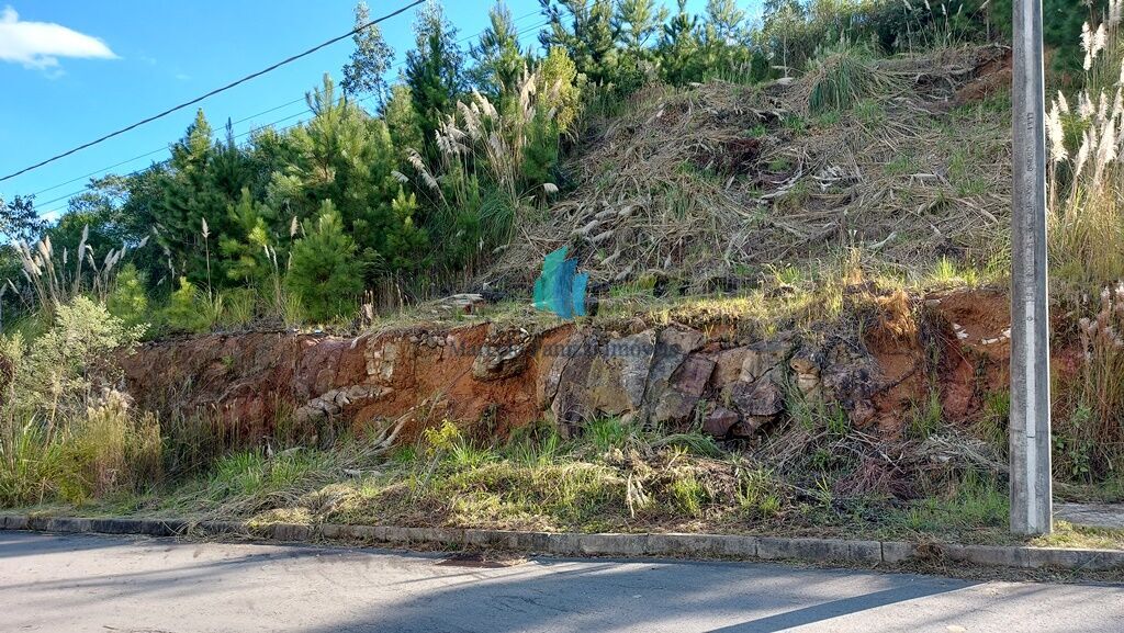 Terreno à venda, 282m² - Foto 2