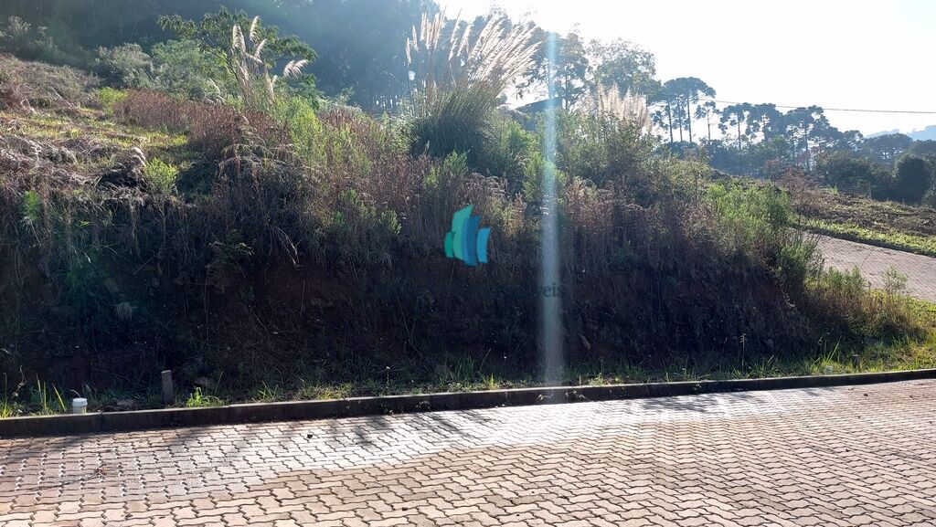 Terreno, 242 m² - Foto 3