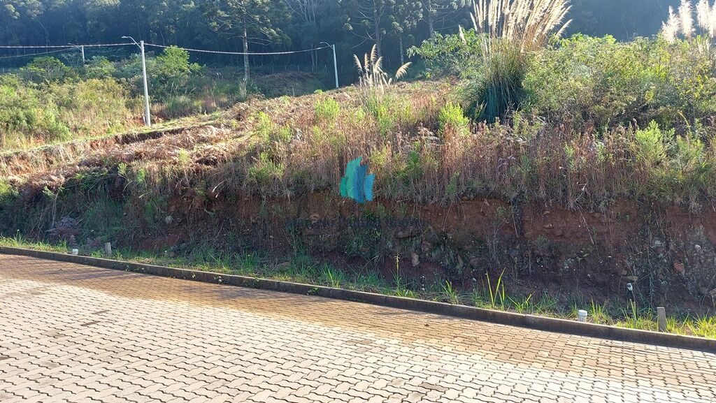 Terreno, 242 m² - Foto 1