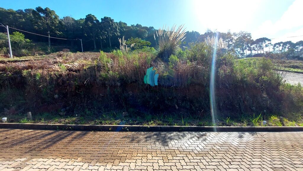 Terreno, 242 m² - Foto 2