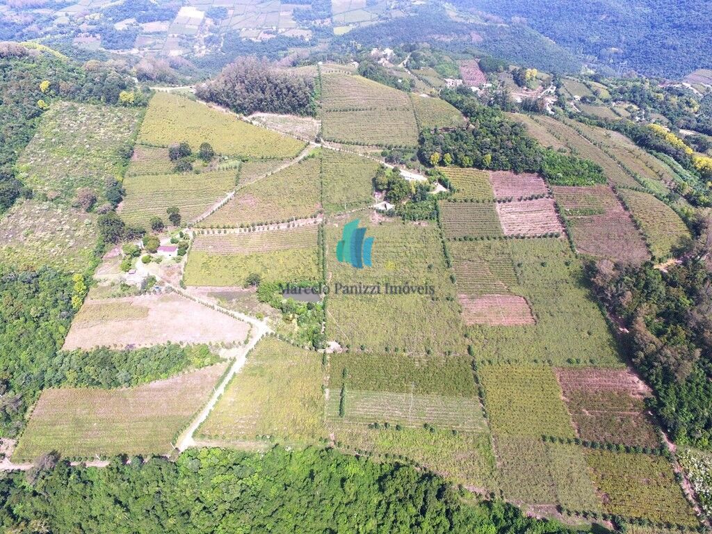 Terreno à venda, 120000m² - Foto 11