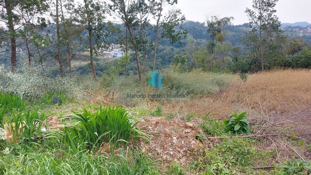Terreno à venda, 442m² - Foto 2