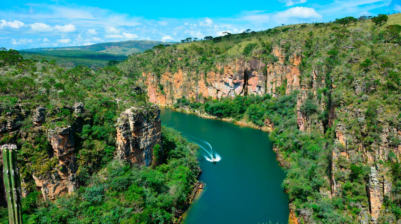 Wellington Luiz de Faria