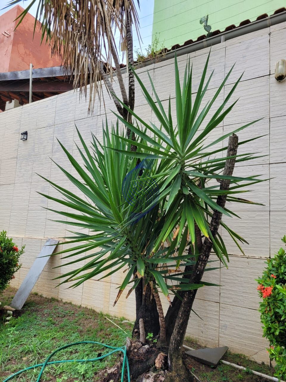 Casa para alugar com 4 quartos, 350m² - Foto 12