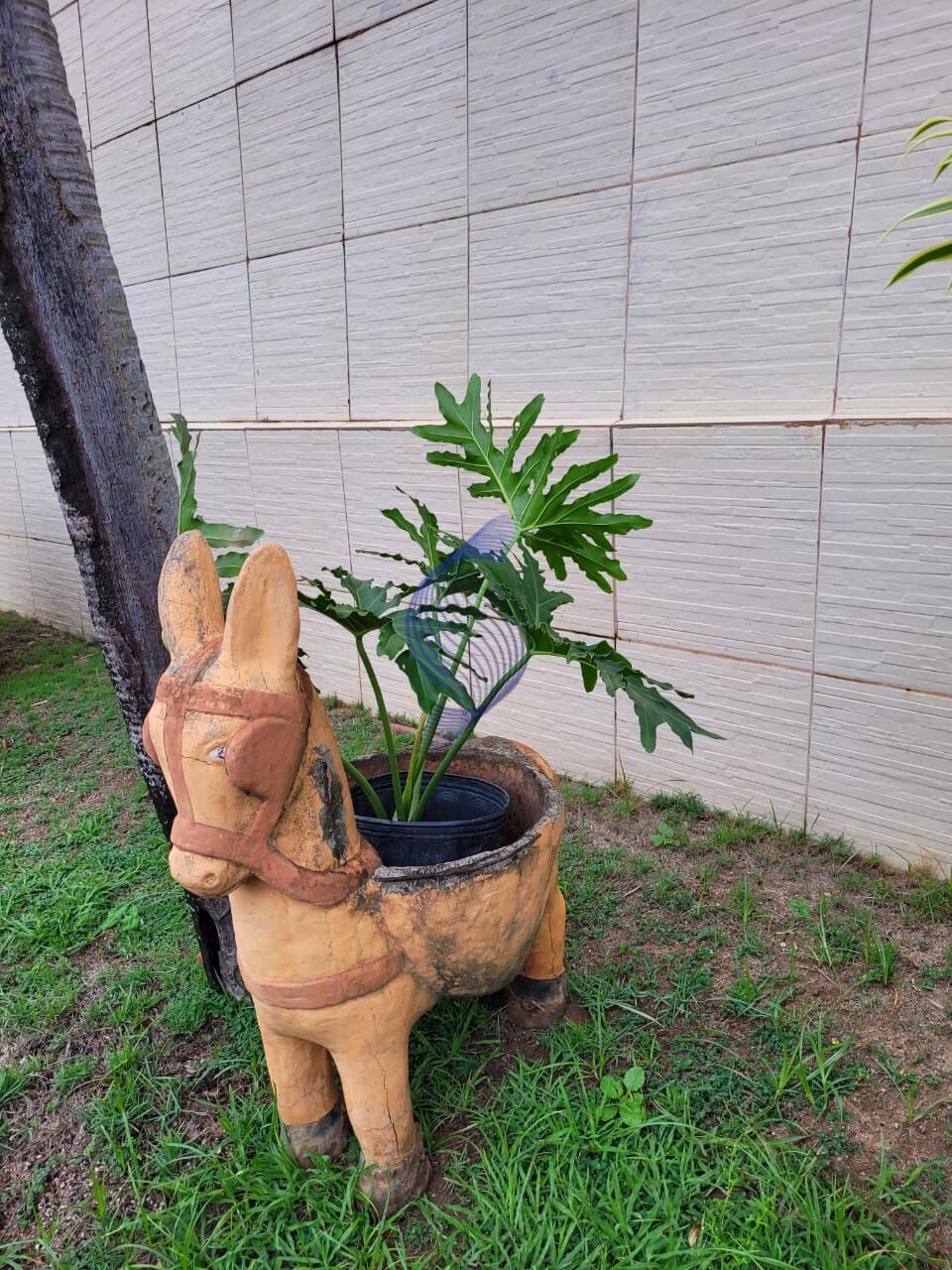 Casa, 4 quartos, 350 m² - Foto 9