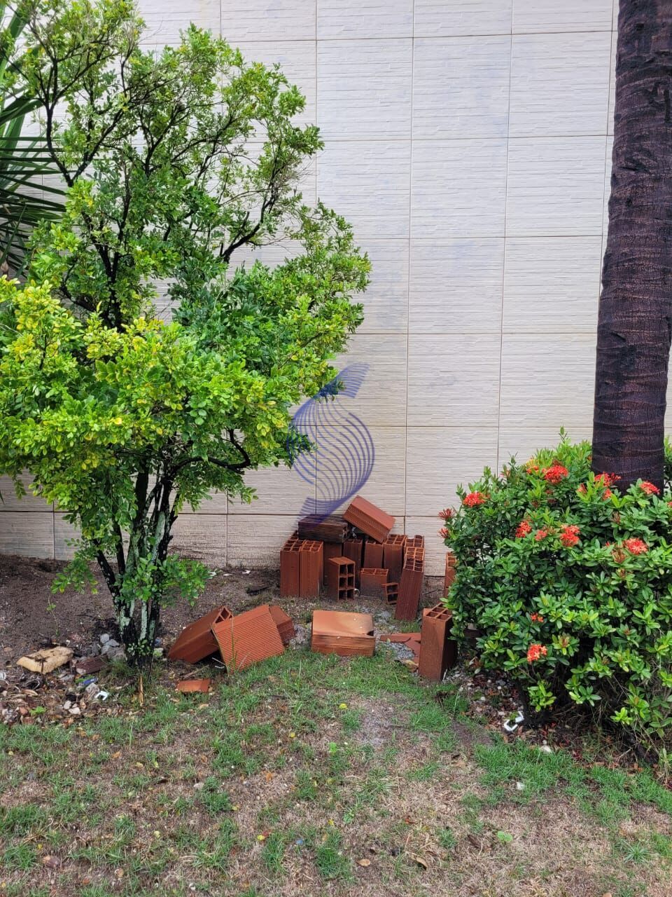 Casa, 4 quartos, 350 m² - Foto 16