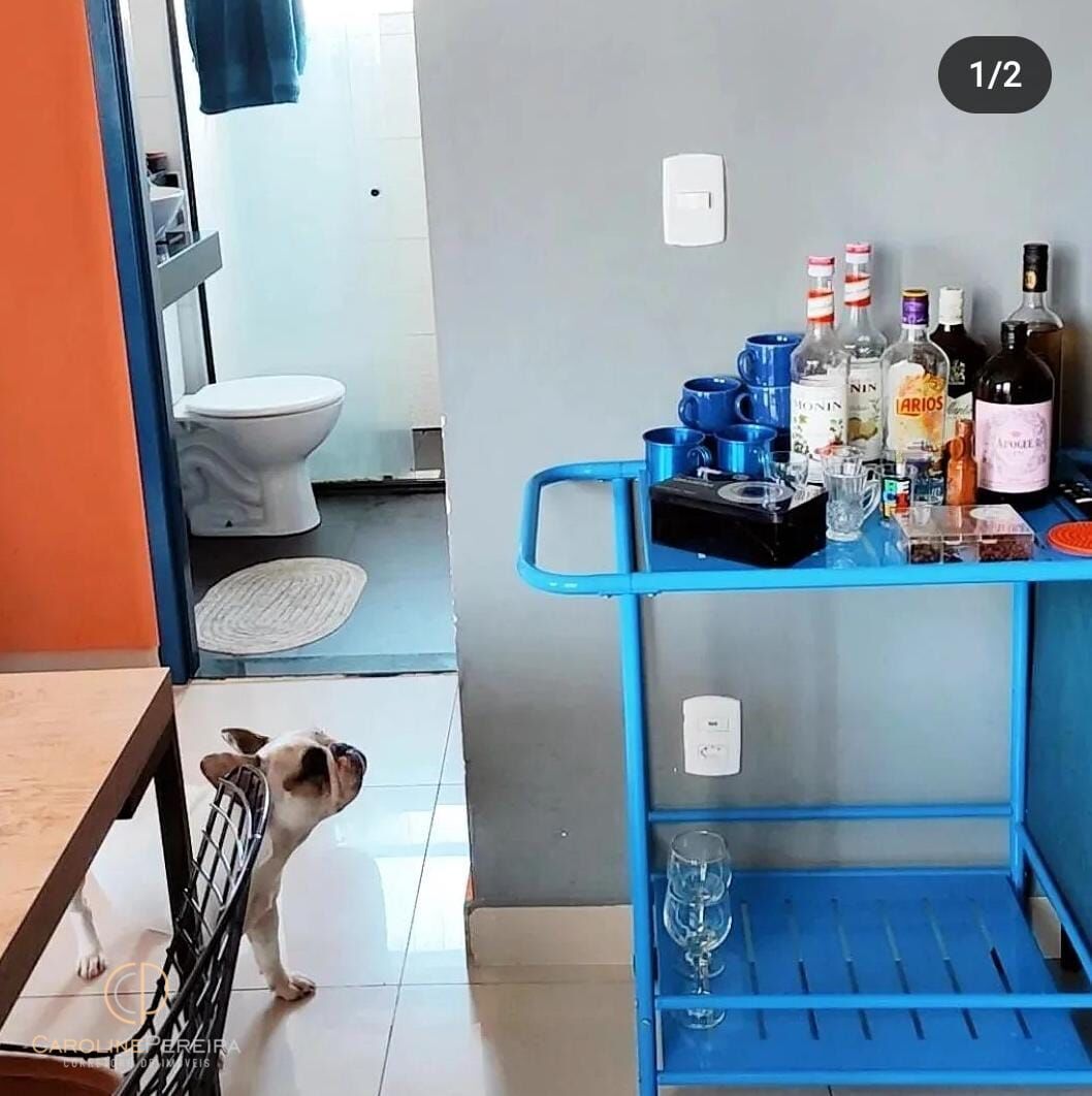 Apartamento à venda com 2 quartos, 43m² - Foto 2