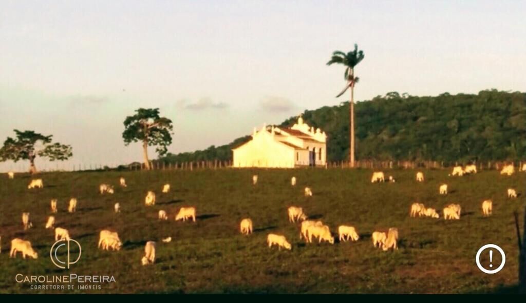 Fazenda à venda com 8 quartos - Foto 5