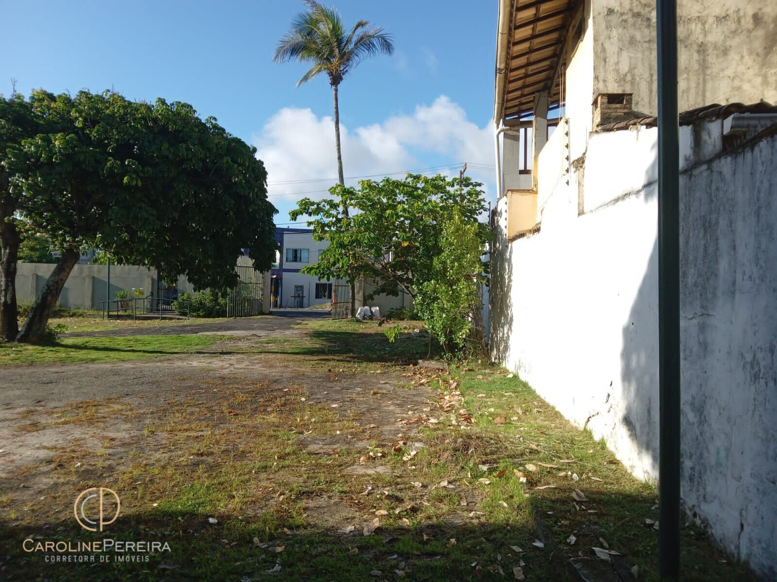 Terreno à venda, 3000m² - Foto 4