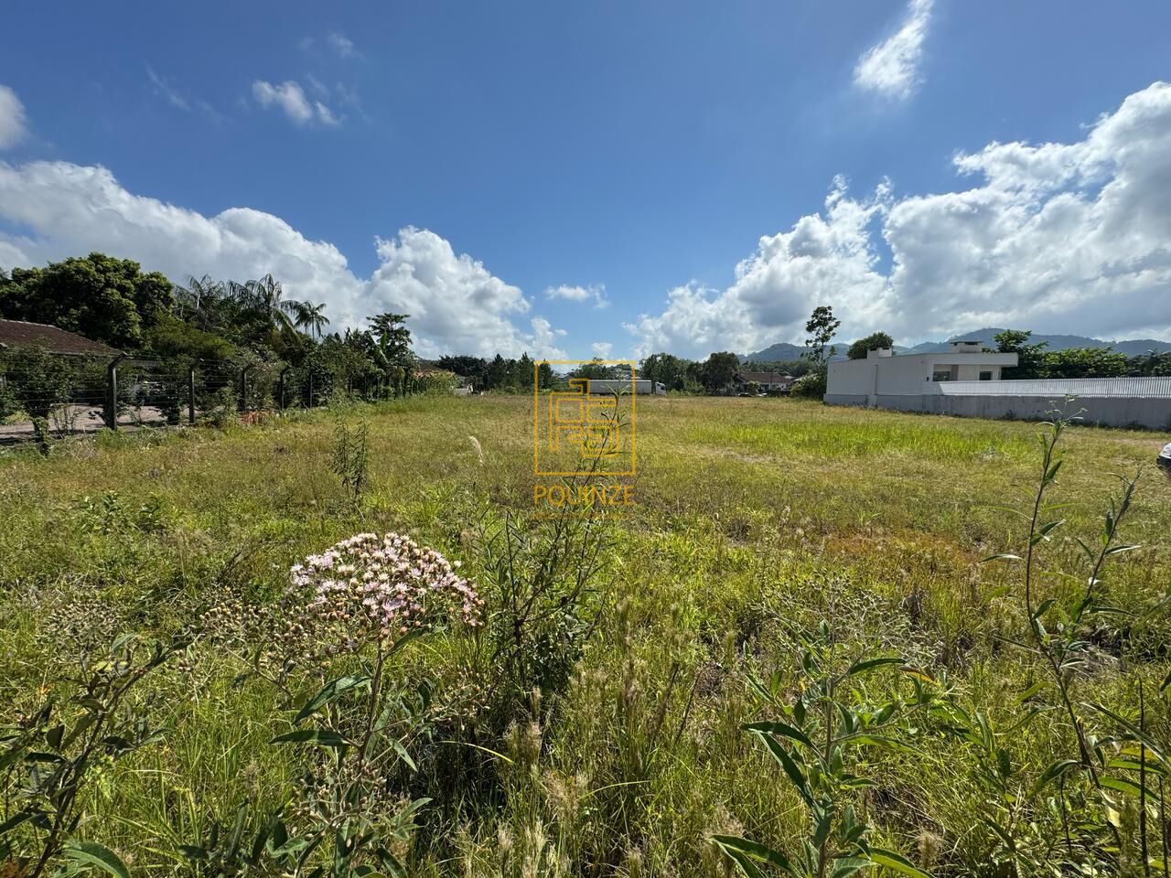 Terrenos amplos e planos no centro de Ascurra — foto 4