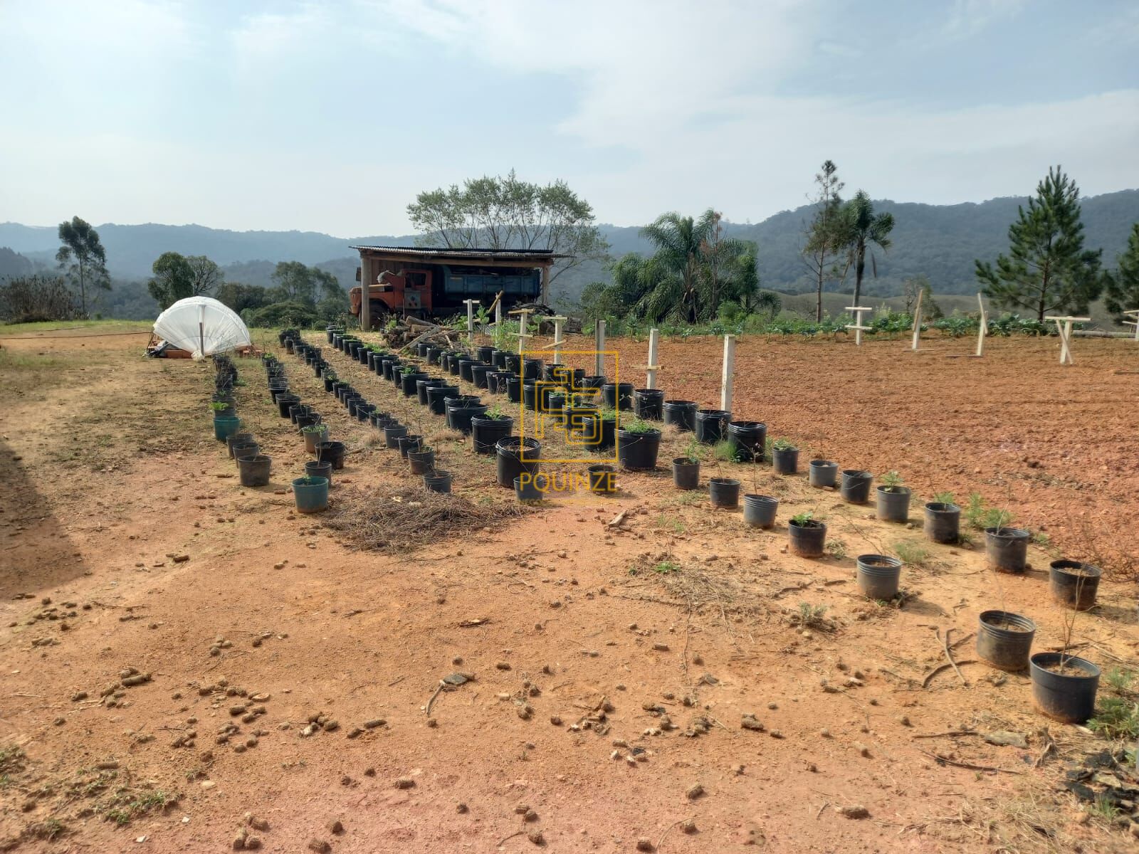 Invista no Seu Refúgio: Terreno de 2.000m em Alto Cedros com Rancho e Proximidade à Barragem do Pinhal — foto 5