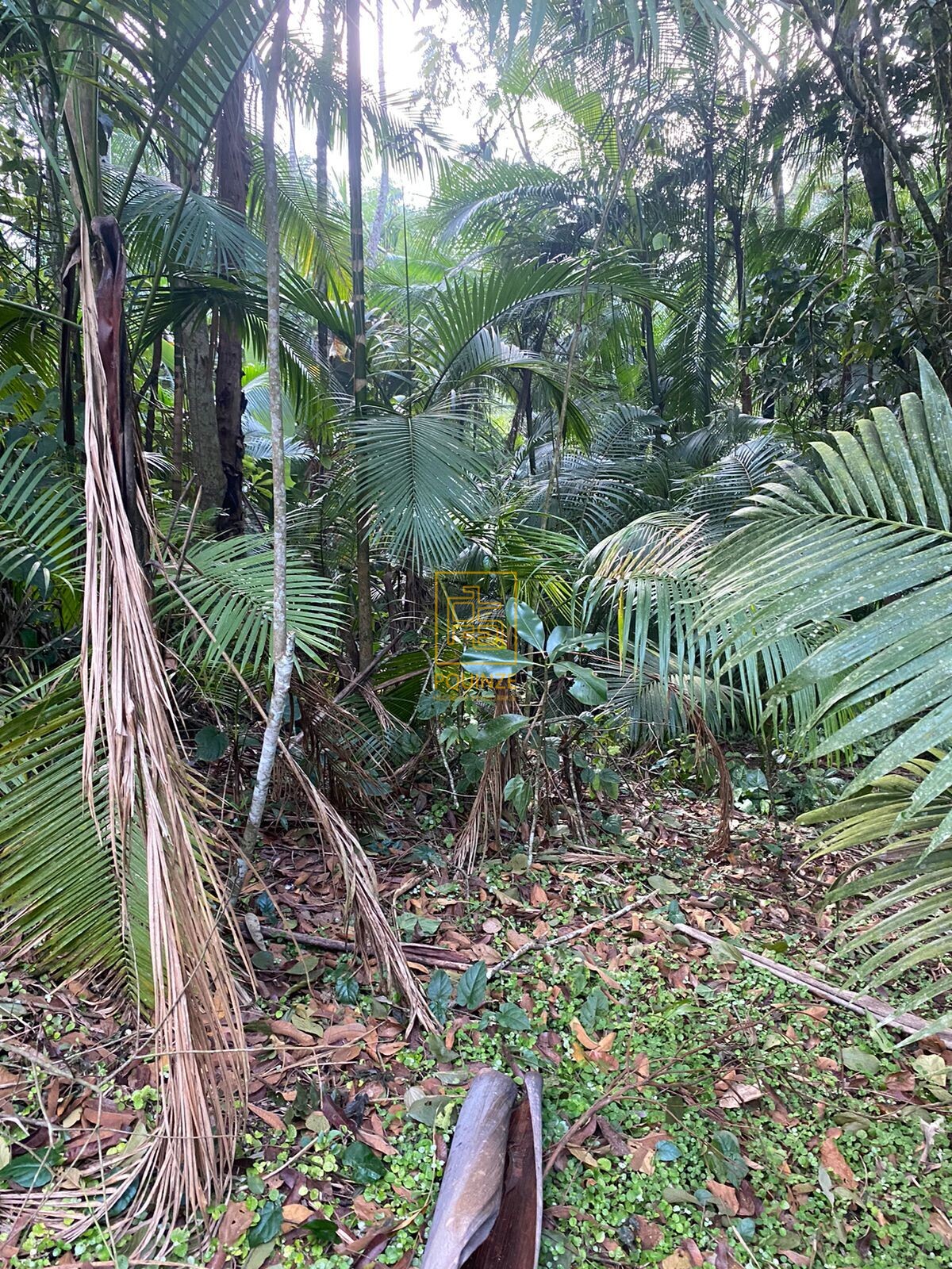 LINDO TERRENO EM BLUMENAU — foto 7