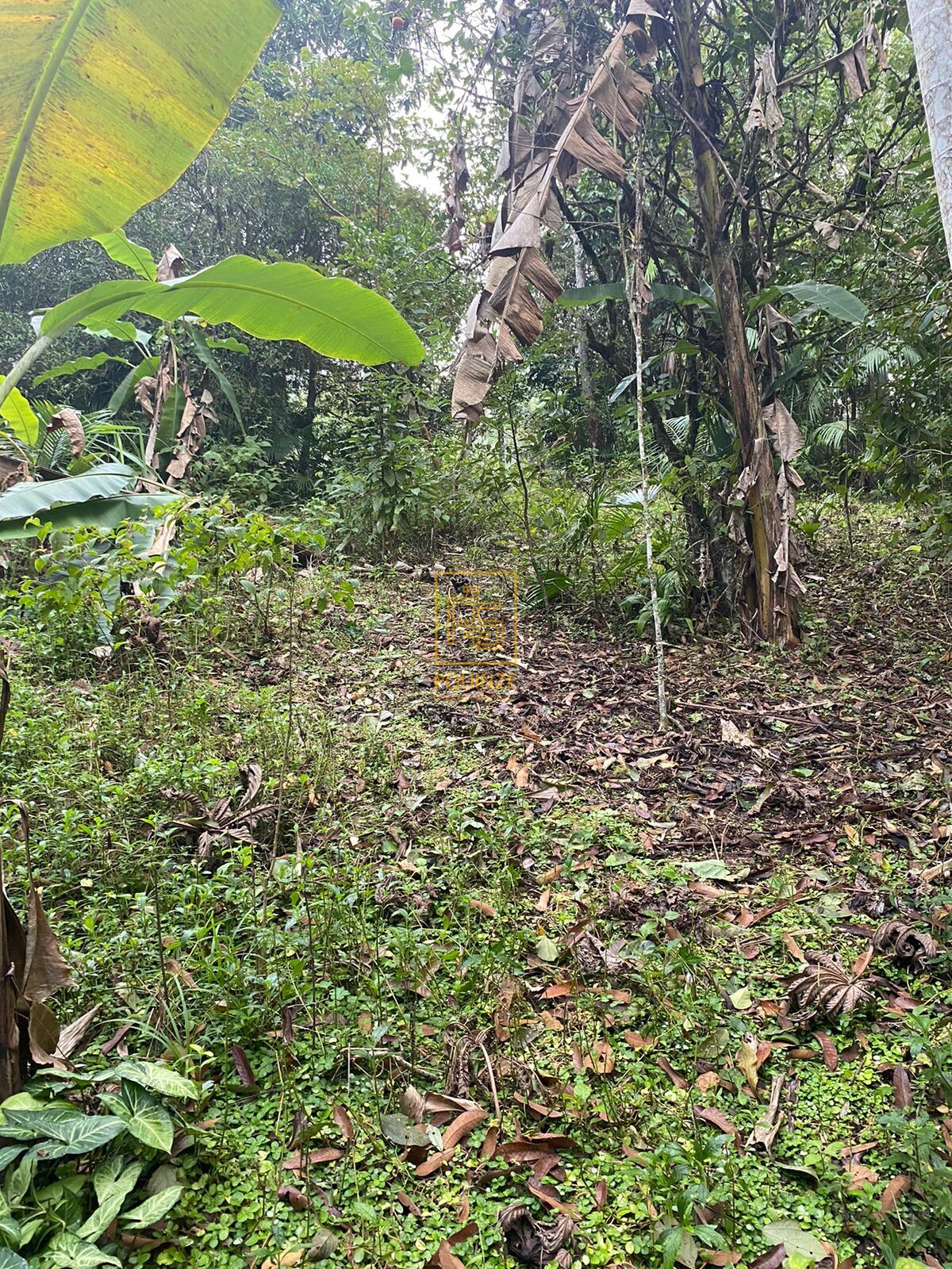 LINDO TERRENO EM BLUMENAU — foto 6
