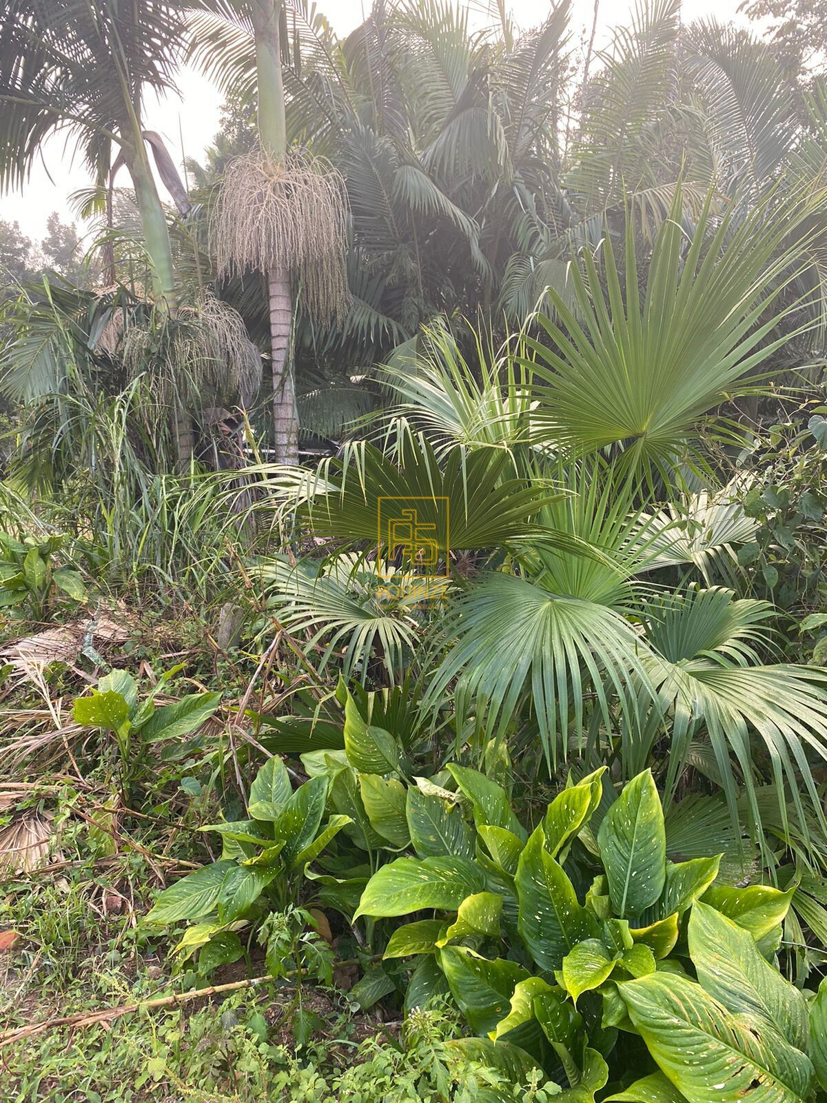 LINDO TERRENO EM BLUMENAU — foto 4