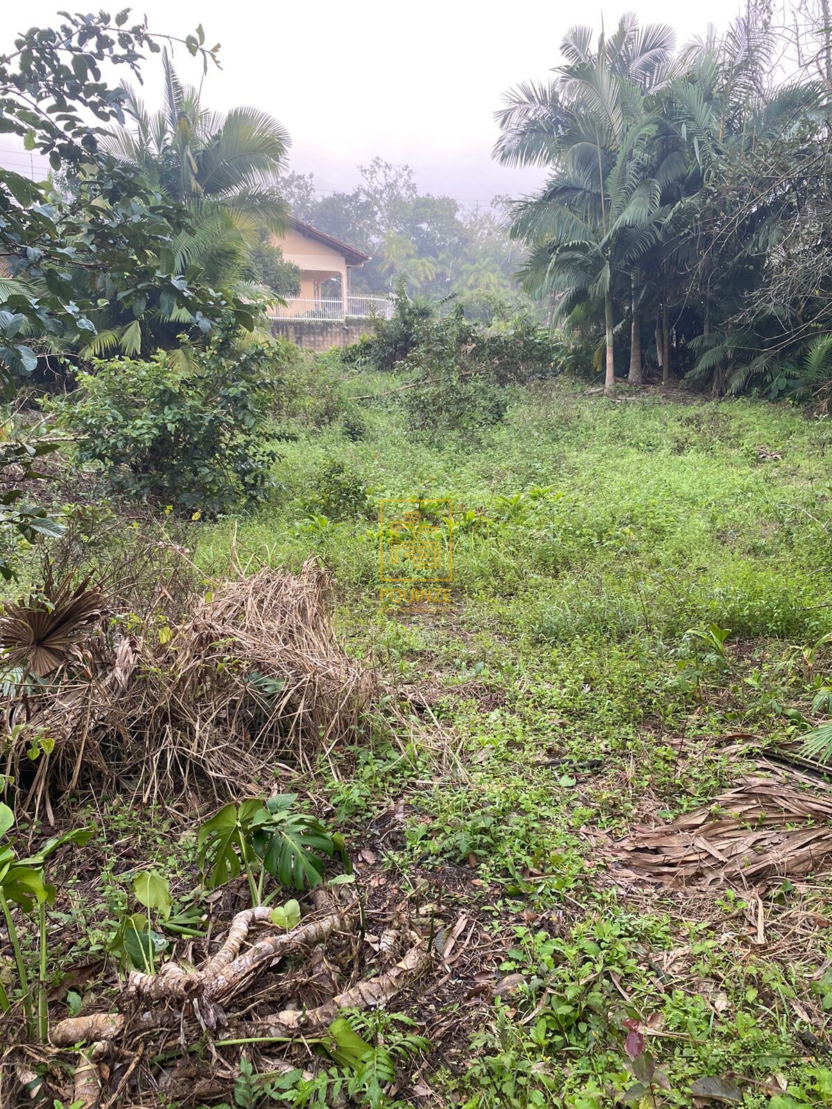 LINDO TERRENO EM BLUMENAU — foto 2