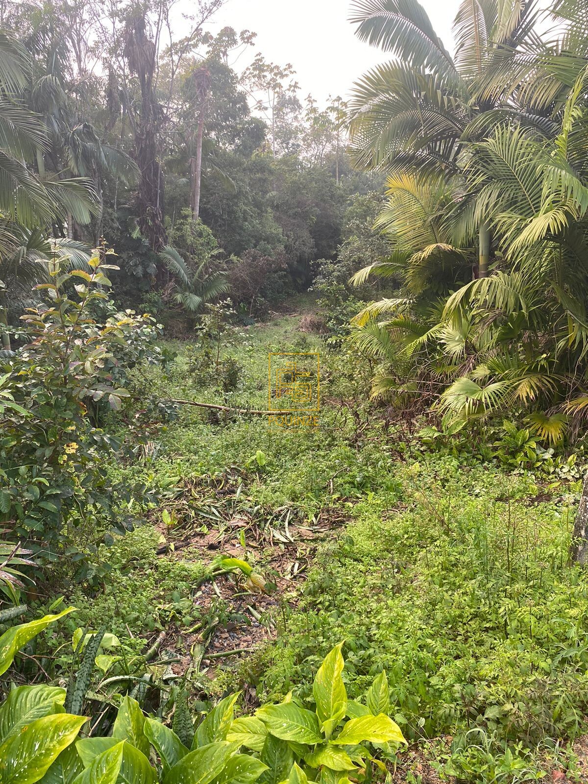 LINDO TERRENO EM BLUMENAU — foto 3