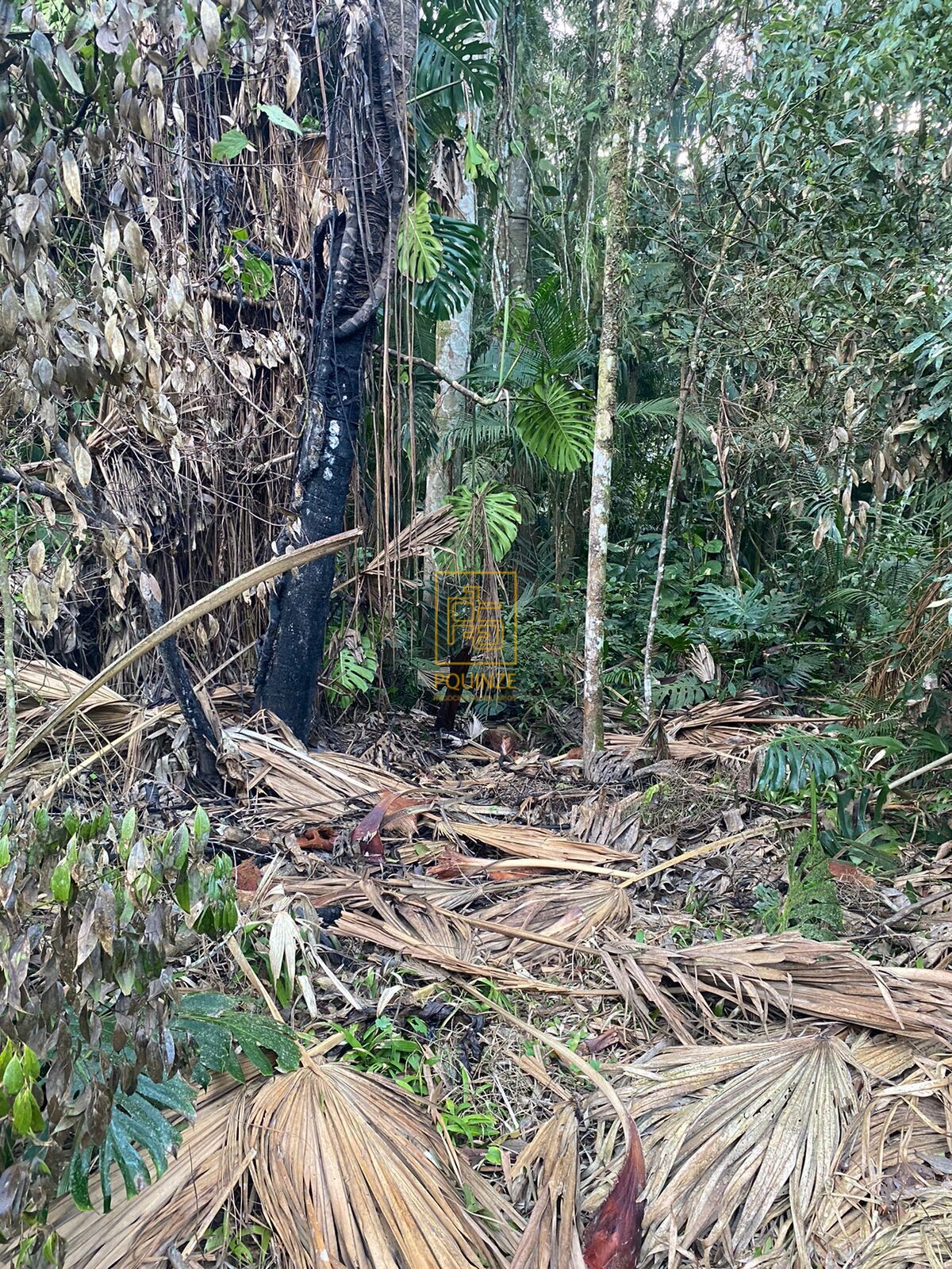 LINDO TERRENO EM BLUMENAU — foto 5