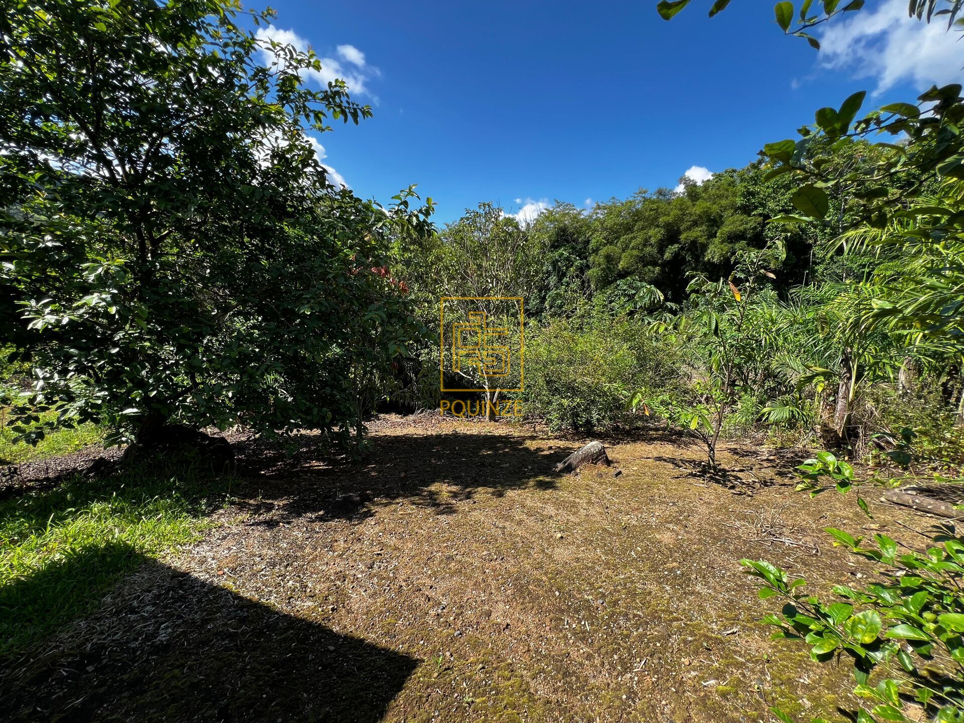 Charmosa residência com conceito aberto no Gávea — foto 7