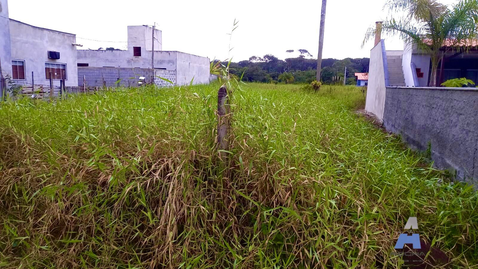 Terreno, 300 m² - Foto 4